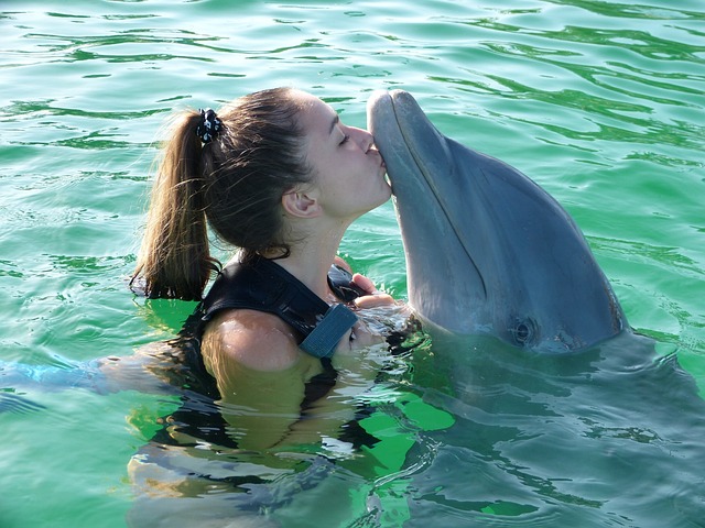 Photo Session with Dolphin